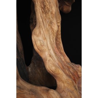 根木台 木彫自然木　X194 