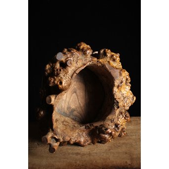 瘤木 自然木の瓶掛　X251 