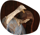 FAQ Nobiru Frequently Asked Questions FAQ Nobiru Frequently Asked Questions