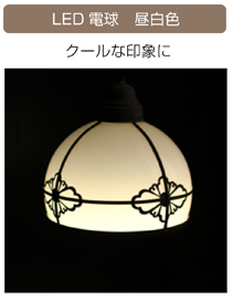 LED 蛍光