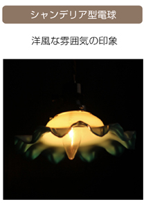 電球の種類
