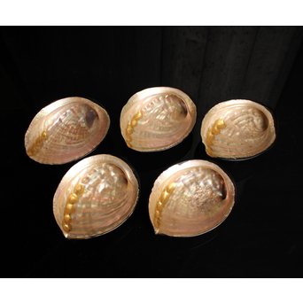 輪島塗鮑の菓子器/銘々皿　S1846 