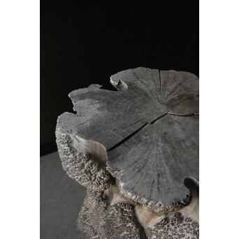 天然木 瘤木古材 展示台　X384 