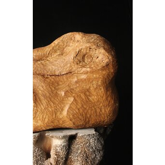 恐竜か 駱駝か 木彫オブジェ　X399 