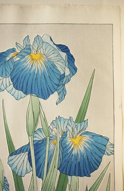 木版画 河原崎奨堂【花菖蒲】芸艸堂版 大判 彫長島 摺板倉 □浮世絵 新版画 植物画 - ビーズソファ/クッションソファ