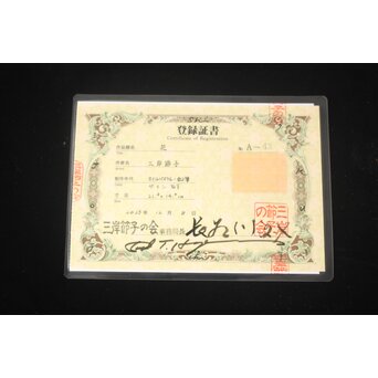 三岸節子 オイルパステル【花】額装　Z774 