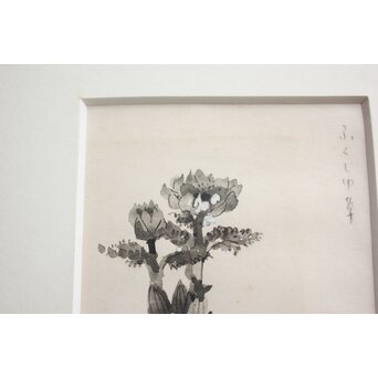 堀文子 墨絵『福寿草』 Z819 