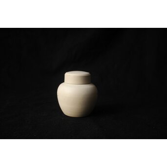 乾亭焼 白泥 茶壺　P643 