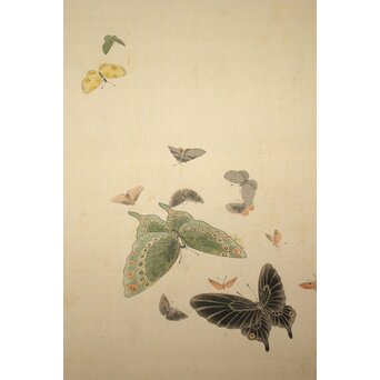 渡辺清 群蝶図 紙本掛軸　Z935 