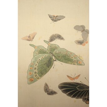 渡辺清 群蝶図 紙本掛軸　Z935 