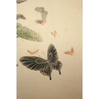 渡辺清 群蝶図 紙本掛軸　Z935 