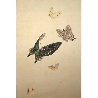 渡辺清 群蝶図 紙本掛軸　Z935 