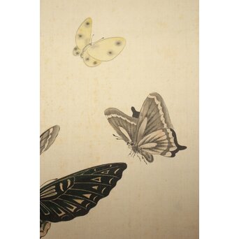 渡辺清 群蝶図 紙本掛軸　Z935 