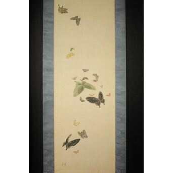 渡辺清 群蝶図 紙本掛軸　Z935 