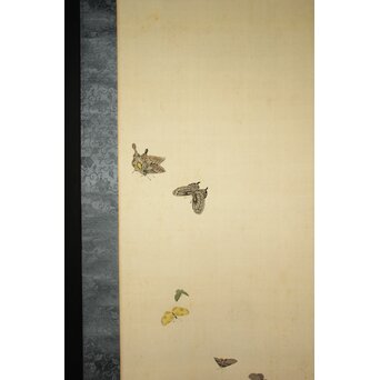 渡辺清 群蝶図 紙本掛軸　Z935 