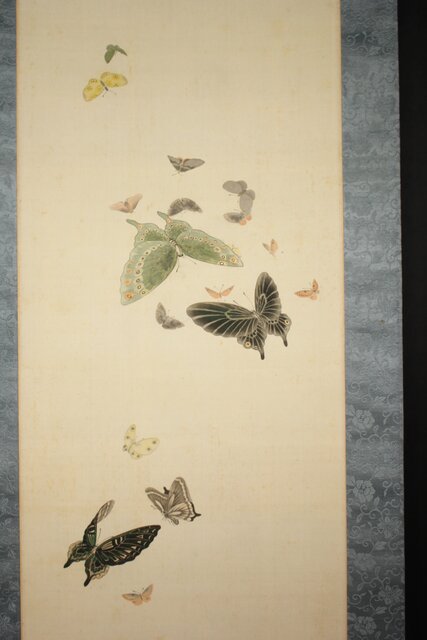 渡辺清 群蝶図 紙本掛軸 Z935｜骨董店 のびる 古美術 骨董 和風