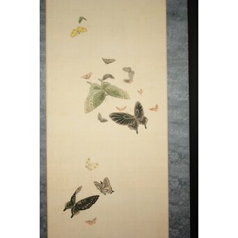 渡辺清 群蝶図 紙本掛軸　Z935 