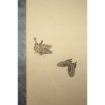 渡辺清 群蝶図 紙本掛軸　Z935 