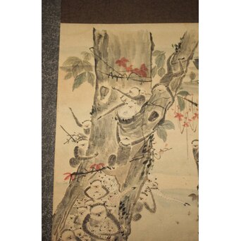 狩野探幽意 石舟筆 群猿図 紙本掛軸　Z939 