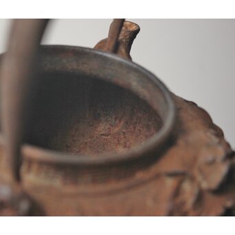 花鳥 鉄瓶 湯沸　M490 