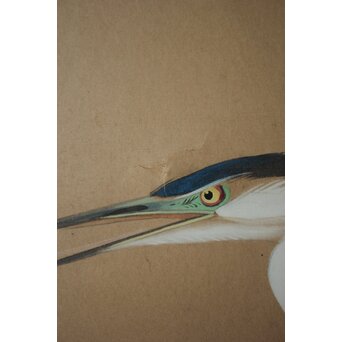 堀田秀叢 五位鷺図 屏風　Z955 