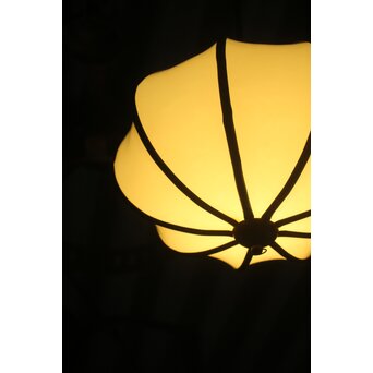 ほおずき型 電笠　A0572 