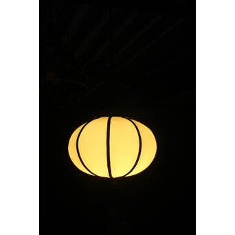 ほおずき型 電笠　A0572 