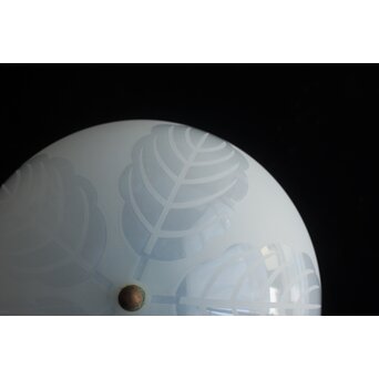 柏文オパール電笠 装飾電笠 2個1組　A0574 