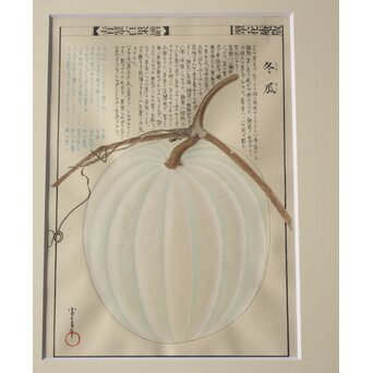 川岸富士男 木版画風の細密画 水彩 冬瓜 額装 ボタニカルアート　Z977 