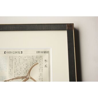川岸富士男 木版画風の細密画 水彩 冬瓜 額装 ボタニカルアート　Z977 