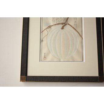 川岸富士男 木版画風の細密画 水彩 冬瓜 額装 ボタニカルアート　Z977 