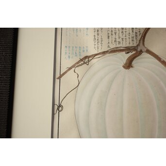 川岸富士男 木版画風の細密画 水彩 冬瓜 額装 ボタニカルアート　Z977 