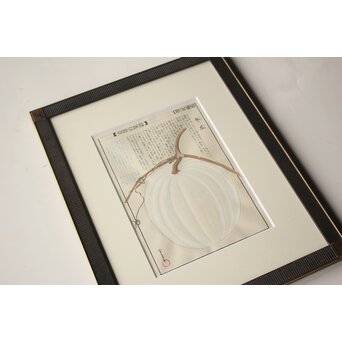 川岸富士男 木版画風の細密画 水彩 冬瓜 額装 ボタニカルアート　Z977 