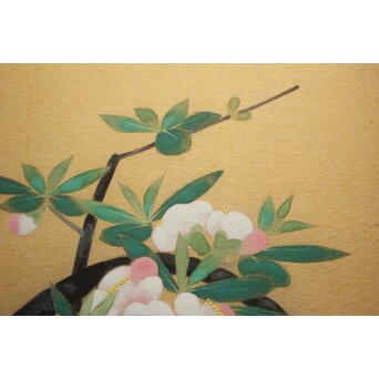 山口蓬春 花図 色紙　Z979 