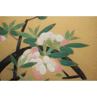 山口蓬春 花図 色紙　Z979 