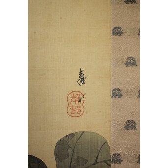 真野暁亭 藤島静邨 合作「秋草白描之図」掛軸　Z987 