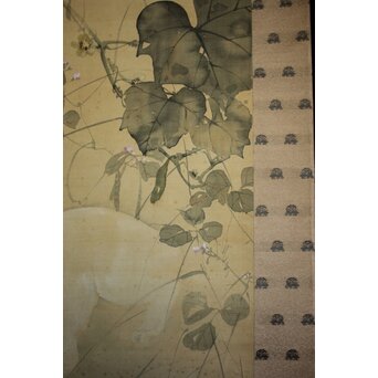 真野暁亭 藤島静邨 合作「秋草白描之図」掛軸　Z987 