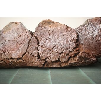 原田拾六 秀逸作 備前 大葉皿　P659 