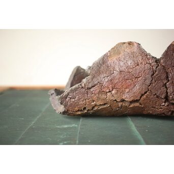 原田拾六 秀逸作 備前 大葉皿　P659 