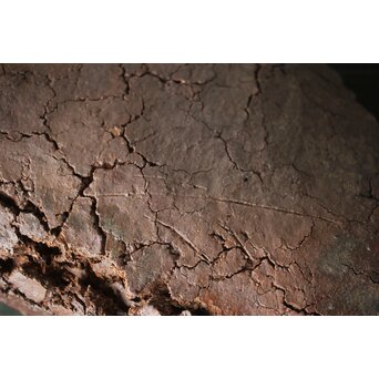 原田拾六 秀逸作 備前 大葉皿　P659 