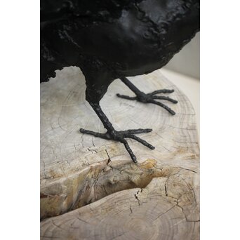 川田清 鉄作家 カラスつがい　M498 