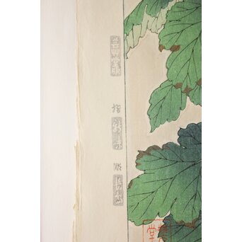 河原崎奨堂 木版画 芸艸堂版【菊】額装　Z997 