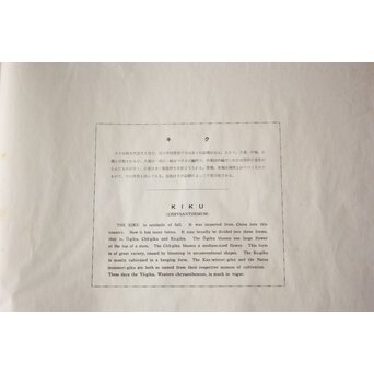 河原崎奨堂 木版画 芸艸堂版【菊】額装　Z997 