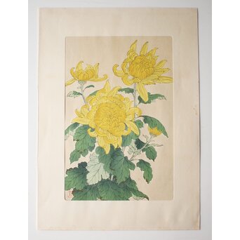 河原崎奨堂 木版画 芸艸堂版【菊】額装　Z997