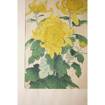 河原崎奨堂 木版画 芸艸堂版【菊】額装　Z997 