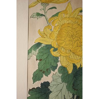 河原崎奨堂 木版画 芸艸堂版【菊】額装　Z997 