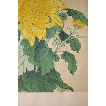 河原崎奨堂 木版画 芸艸堂版【菊】額装　Z997 