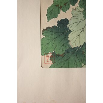 河原崎奨堂 木版画 芸艸堂版【菊】額装　Z997 