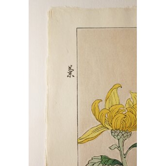 河原崎奨堂 木版画 芸艸堂版【菊】額装　Z997 