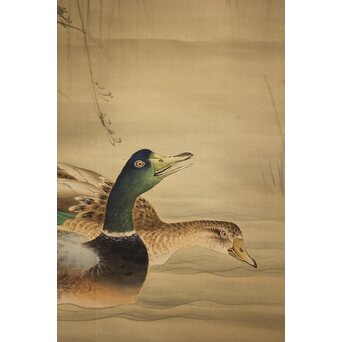 荒木十畝 葦鴨図 絹本掛軸　Z1002 